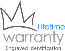 lifetime logo